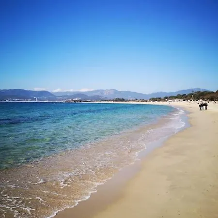 Lejlighed Porticcio : Magnifique T2 Piscine Vue *